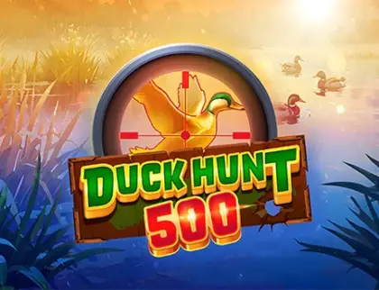 Duck Hunt 500