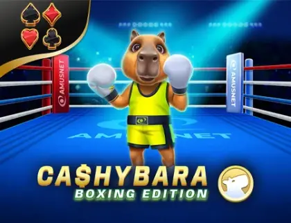 Cashybara Boxing Edition