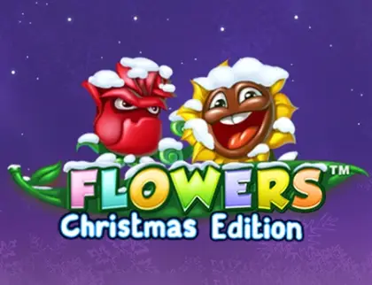Flowers Christmas Edition