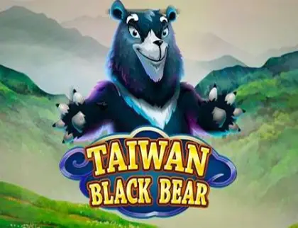 Taiwan Black Bear