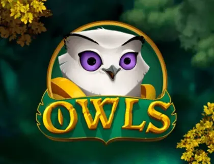 Owls