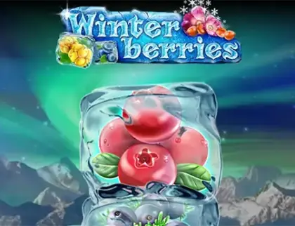 Winterberries