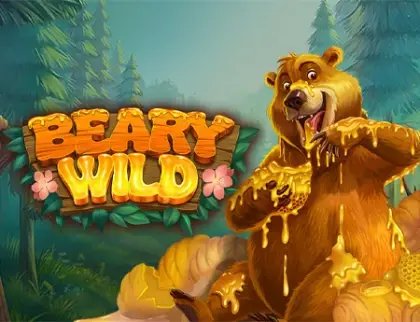 Beary Wild